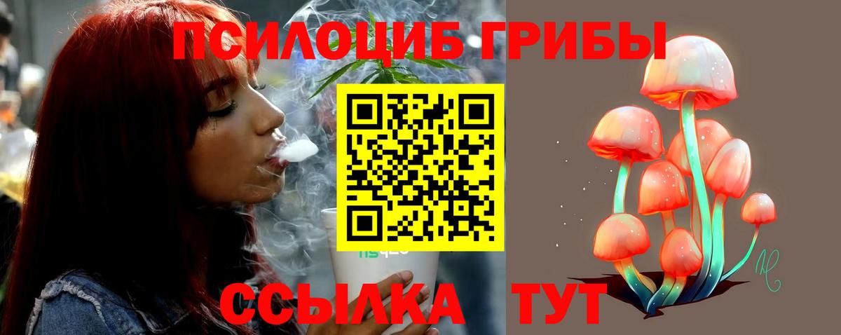 Псилоцибиновые грибы прущие грибы Клин