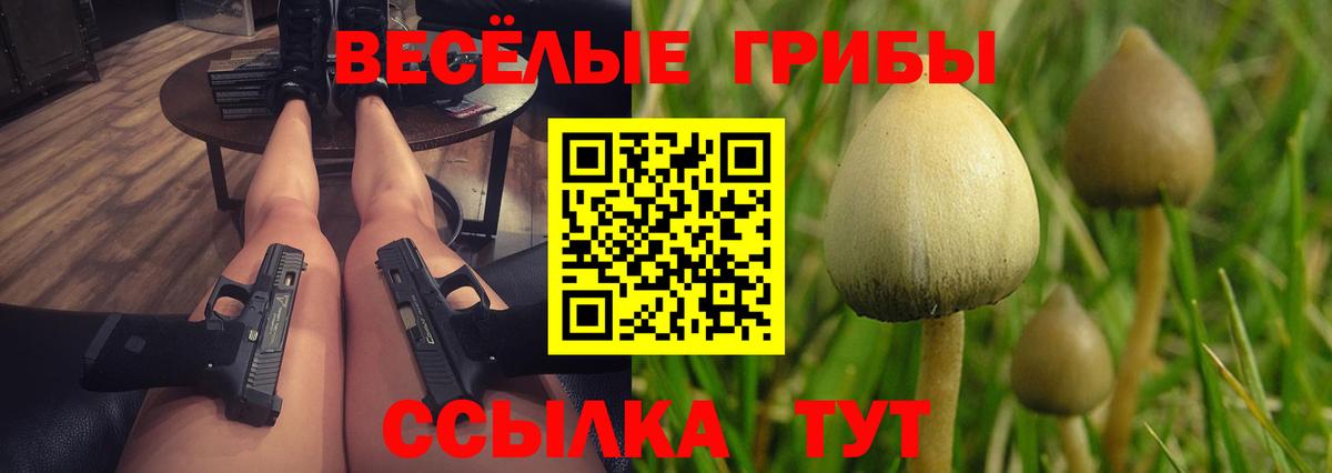 Клин  Псилоцибиновые грибы GOLDEN TEACHER  Вход с VPN 